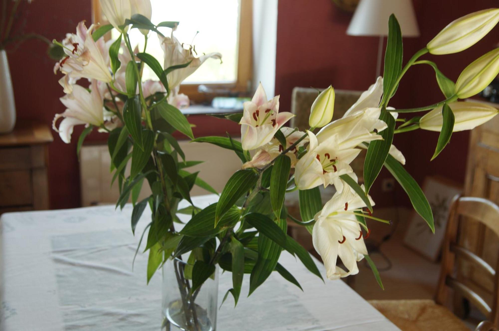 Bed and Breakfast Le Grand Noe Roisey Pokoj fotografie